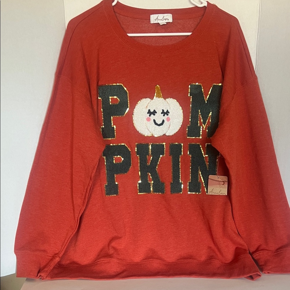 Pumpkin Sweatshirt 2x by Anneliese NWT